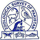 ZSP Logo